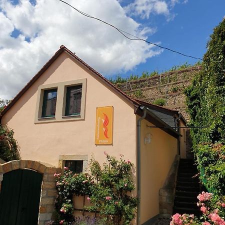Unterkunft Am Weinberg Nunchritz المظهر الخارجي الصورة