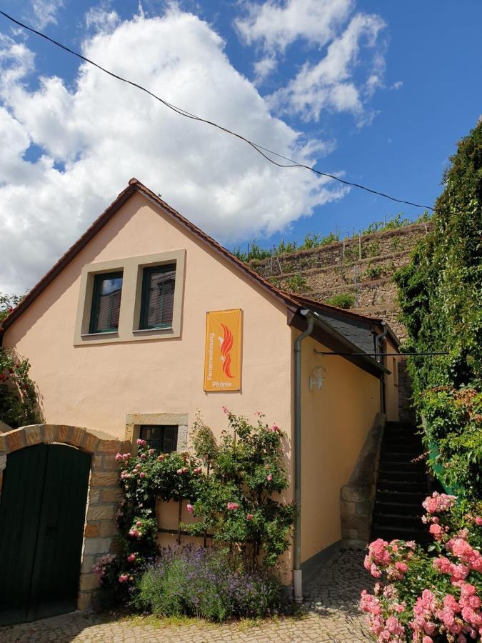 Unterkunft Am Weinberg Nunchritz المظهر الخارجي الصورة