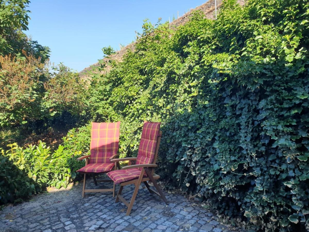 Unterkunft Am Weinberg Nunchritz المظهر الخارجي الصورة